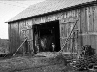 Late summer,1957,the Barn, my  brother.