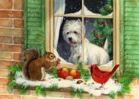 westie