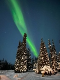 Aurora Borealis: Fairbanks, Alaska