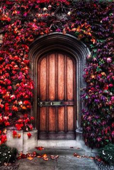 leafy door