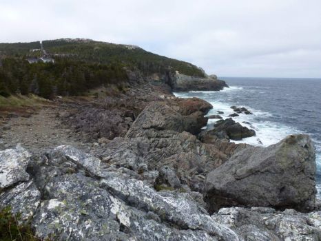 Beach path on Avalon / Newfoundland