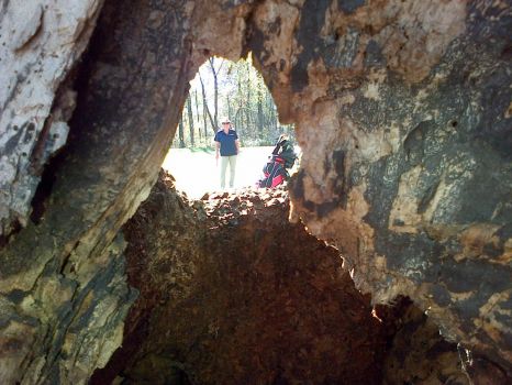 Through a hole in a tree