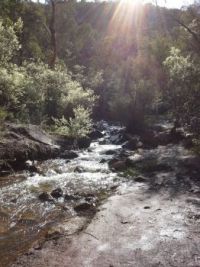 Morning at Lesmurdie Brook Western Australia