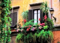 &quot;Typical window with flowers, Rome, Italy&quot;