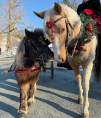 Christmas Parade
