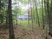 Home through the woods