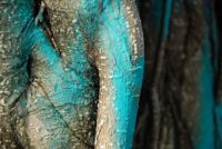 turquoise banyan tree