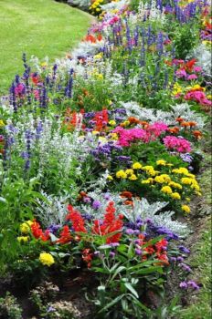 Beautiful Colourful Cottage Garden.