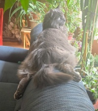I'm too sexy for my couch ... 😂