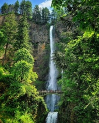 Multnomah Falls In Oregon, USA