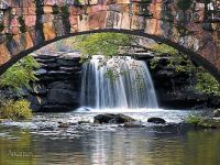 Theme ~ Waterfall Arkansas Park (bigger for Karen)