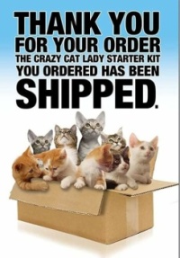Box of goodies