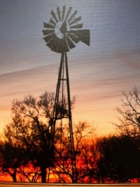 South texas sunset