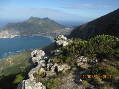 Hout Bay Harbour from Mountain, Cape Town
