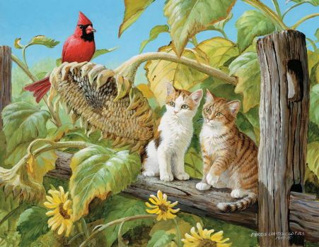 Sunflowers, Cats and Cardinal