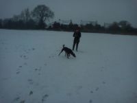 Dog and son in the snow