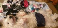 Sock "Helper"