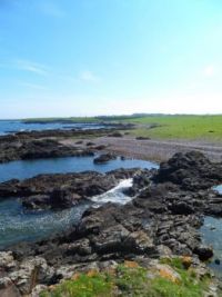 Scotland: Scurdie Ness Rock Pools
