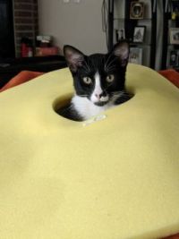 peek a boo