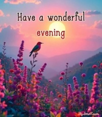 Good Night - Have a wonderful evening!