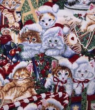 Christmas Kitties
