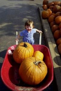 Little Girl, Big Job