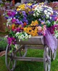 4.21 flower cart