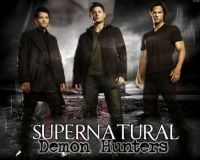 Demon-Hunters-supernatural-20888316-1280-1024