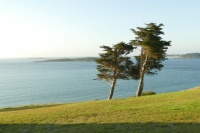 Au bord de la mer
