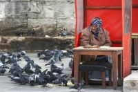 Istanbul - Selling food to feed the birds.