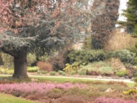 Botanical gardens Sheffield