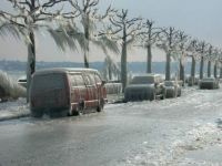 ice!