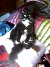 I'd like to get back to my wash now...