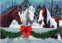 Winter Horses at Christmas time