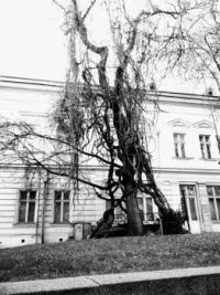 Sofia, Bulgaria
