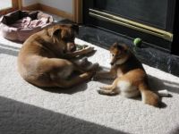 Victor and Kishi soakin' up some sun