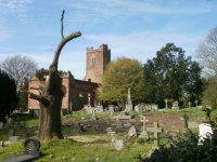 Old Church Ruins  Stanmore