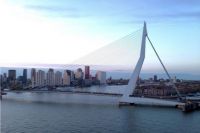 Rotterdam IX  The Swan Bridge
