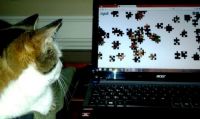 Puzzle Helper