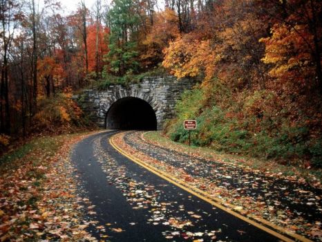 Blue Ridge Parkway in the Fall