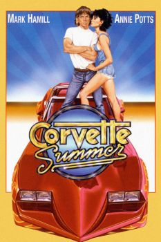 corvette-summer