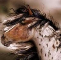 Morning Wind