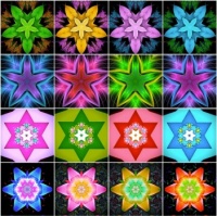 All Stars, No Stripes!  (Large)