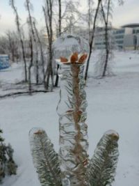 THE TOTAL FREEZE OF NATURE IN THE CITY OF VLADIVOSTOK, RUSSIA   frantzi5