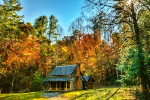 Henry Whitehead Cabin - Sunny Autumn - matt and delia hills photography