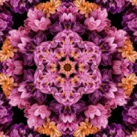 Floral Kaleidoscope