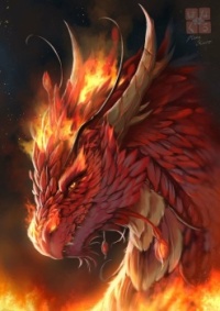 Phoenix Dragon Portrait