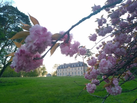Parc de Landebaudière #2