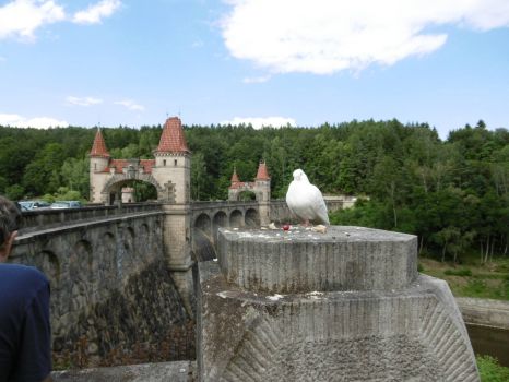 Les království