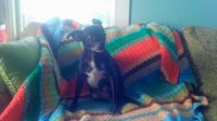Funky Blanket